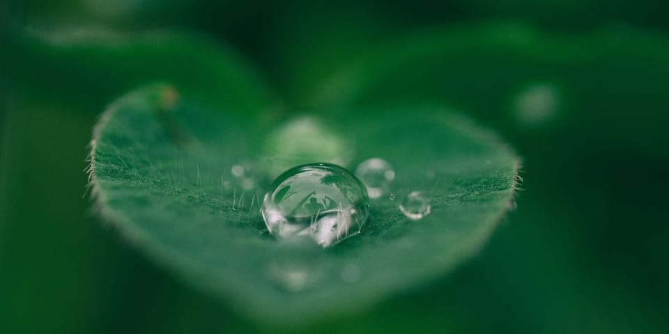Healing your hormones naturally